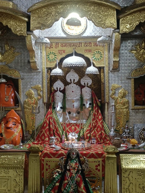 naidunia_image